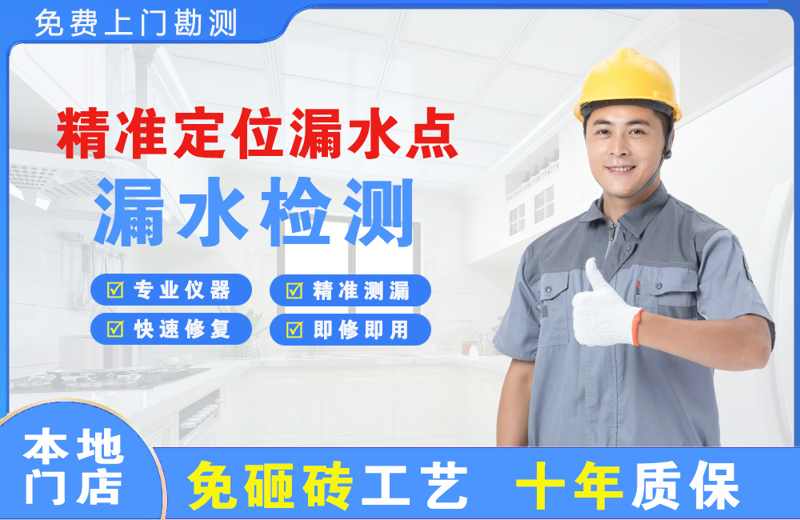 加查精准测漏点